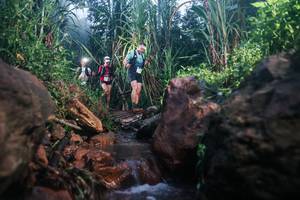 BIB: 
                            <button type="button" onclick="openModal(26419640)" class="btn btn-primary btn-sm float-right btn-popup" data-toggle="modal" data-target=".modal-high-quality">
                        <i class="fas fa-shopping-cart"></i> Add to Cart
                    </button>
                                            <button type="button" onclick="isThisMe(26419640, true)" class="btn btn-success btn-sm float-right btn-popup btn-isme hidden" data-toggle="tooltip" data-placement="bottom" title="นี่คือรูปของคุณใช่ไหม คลิกที่นี่เพื่อเอาเข้าอัลบั้ม">
                        <i class="fas fa-plus"></i> Add to album
                    </button>
                    <button type="button" onclick="isThisMe(26419640, false)" class="btn btn-warning btn-sm float-right btn-popup btn-isnotme hidden">
                        <i class="fas fa-ban"></i> Remove from album
                    </button>